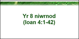 Week of Prayer for Christian Unity - Welsh English Reflection for 8 Days