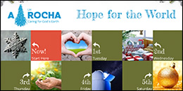 A Rocha Advent calendar