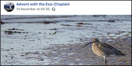 Eco-Congregation Scotland