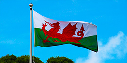 Welsh flag