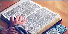 Someone reading the Bible