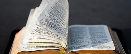 An open Bible