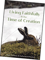 Living Faithfully in the Time of Creation