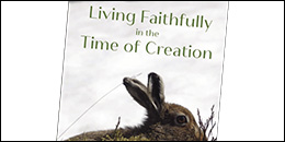 Living Faithfully in the Time of Creation