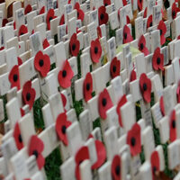 Sunday crosses and poppies