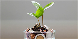 Plant growing out of glass full of money